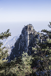 石人山摄影照片_尧山千姿百态古树摄影图