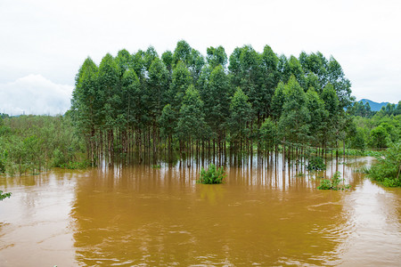 洪水图摄影照片_暴雨洪水淹没农田摄影图