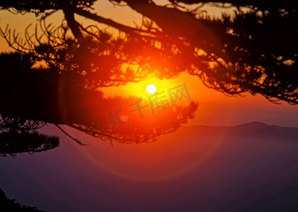 黄山日出树木倒影摄影图