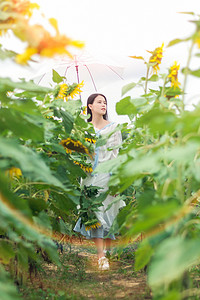 春天的人摄影照片_向日葵里撑伞的少女