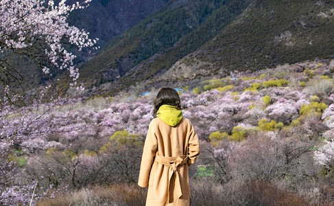 你好三月摄影照片_西藏林芝桃花人物摄影图