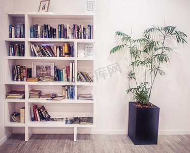 温馨房间摄影照片_白色书柜和绿色植物摄影图