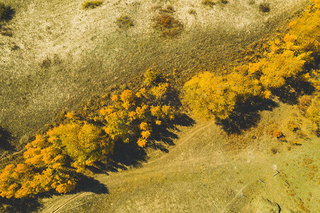 秋日里航拍草原特色稀疏林木摄影图