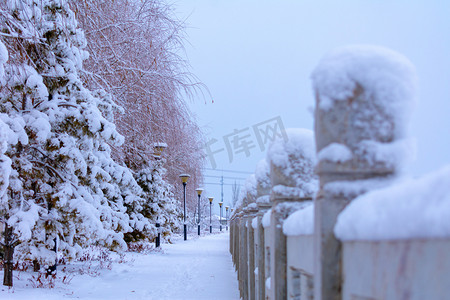 美丽雪景树木街道摄影图