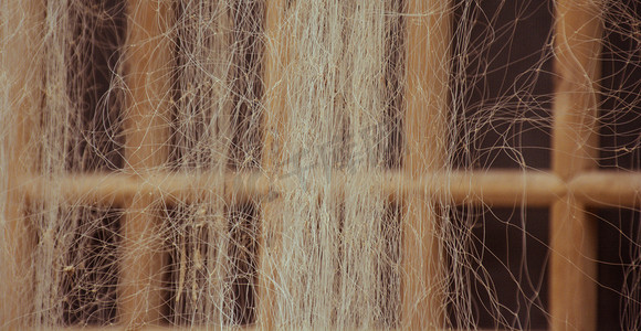 木窗上的丝质渔网摄影图