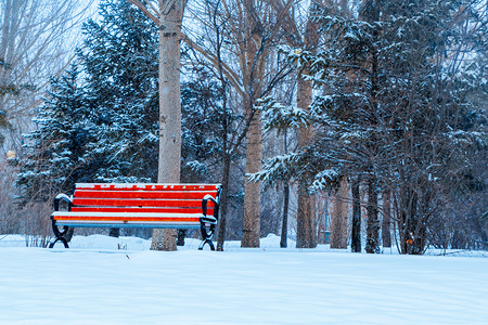 冬季树木长椅摄影图