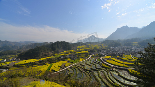 春天油菜花田山脉自然风景摄影图