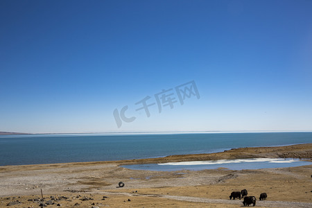 青海湖风景区景观摄影图