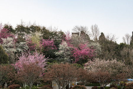 城市建筑古朴城镇摄影图