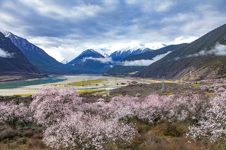 西藏林芝桃花山脉摄影图