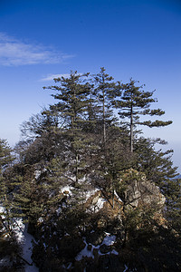 原始森林摄影照片_风景名胜尧山森林摄影图