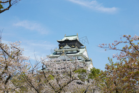 樱花日本摄影照片_日式建筑摄影图