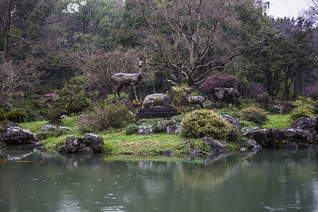 清晨杭州植物园正面摄影图