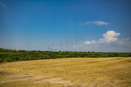 麦子地麦田摄影图