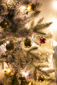 挂彩灯的圣诞树摄影图