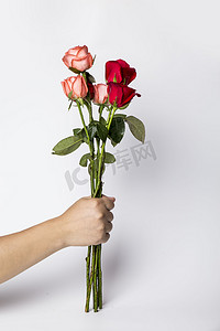 花束大小参考图摄影照片_七夕情人节玫瑰花束