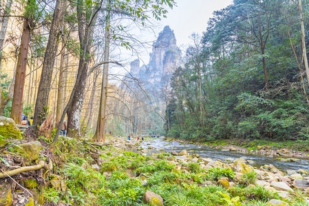 张家界国家森林公园金鞭溪摄影图
