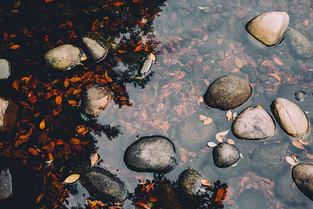 墙面上的石头摄影照片_秋天落叶水中石头摄影图