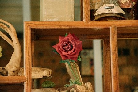 木质书架玫瑰花摄影图