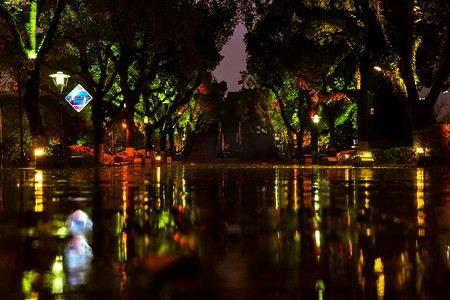 森林小路摄影照片_夜晚雨天的风景小路摄影图