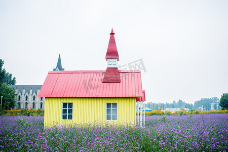 七月你好摄影照片_清新文艺夏日马鞭草花海里的房子摄影图