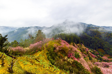 行人更在春山外摄影照片_渔村春天山脉摄影图