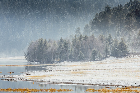 雪雪花摄影照片_普达措国家公园摄影图
