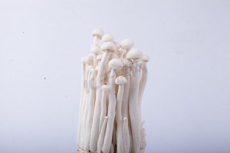蔬菜海鲜菇摄影图 
