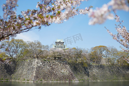 旅游美景摄影照片_日本大阪樱花美景摄影图