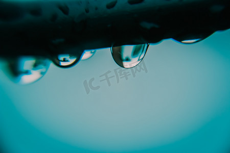 雨滴水珠摄影图