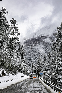 松树公路山摄影图