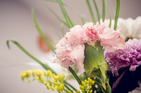 粉色康乃馨插花照片摄影图