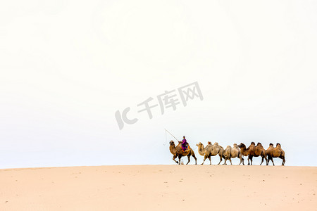 沙漠骆驼摄影照片_骆驼沙漠摄影图