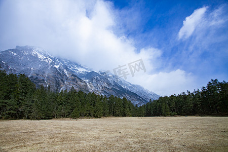 干净卡通森林背景摄影照片_白云雪峰森林摄影图