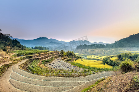 稻田稻子和山峰摄影图