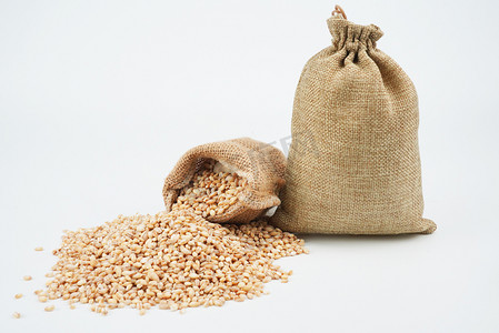 粮食麦子摄影图