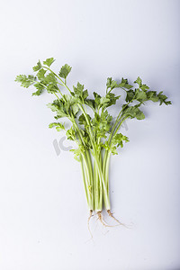 中华美食图章摄影照片_ 绿色芹菜蔬菜摄影图 