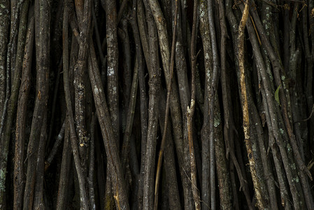 树枝深色柴堆自然风景摄影图