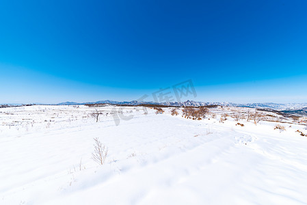 雪景冬日自然风光摄影图