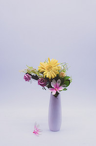 植物花瓶摄影照片_花瓶摄影图