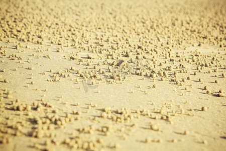 沙漠球形黄色沙子特写