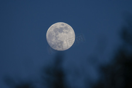 满月升起摄影图