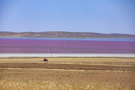紫色盐湖摄影图