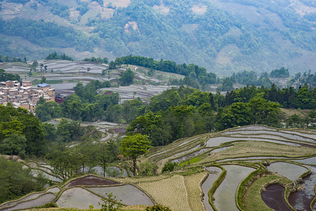 元阳梯田风景摄影图