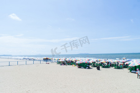 夏日海滩椰树摄影照片_夏日海边沙滩摄影图