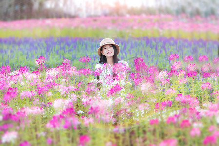 花海女孩摄影照片_醉蝶花花海中的美女