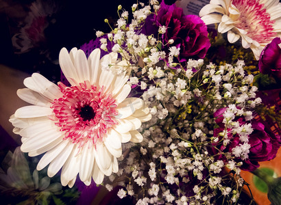 白色鲜花摄影照片_粉白色菊花搭配小花点缀自然风景摄影图