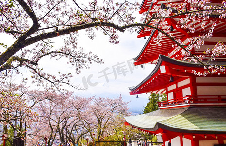 红色绸布红色云彩摄影照片_日本樱花红色宫殿摄影图