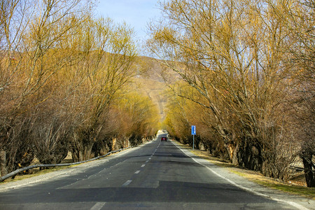 黄色光束线摄影照片_公路黄色树木摄影图