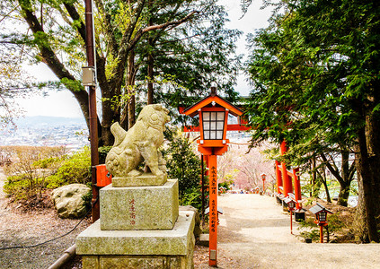 日本古典园林树木雕塑摄影图
